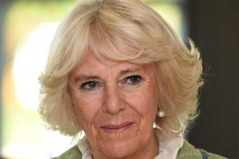 Duchess Camilla tests positive for COVID-19 days after husband Prince Charles was diagnosed