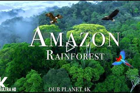 Amazon 4k - The World’s Largest Tropical Rainforest Part 2 | Relaxation Film with Calming Music