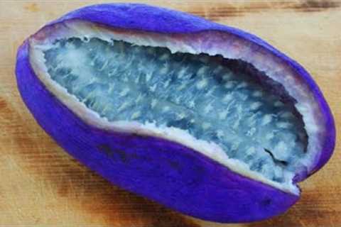 THE MOST UNUSUAL FRUITS You've Never Heard Of