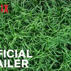 In the Tall Grass | Official Trailer | Netflix