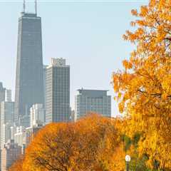 The Allure of Lincoln Park, Michigan for Documentary Filmmaking