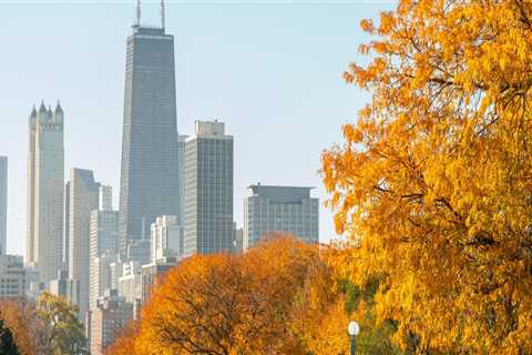 The Allure of Lincoln Park, Michigan for Documentary Filmmaking